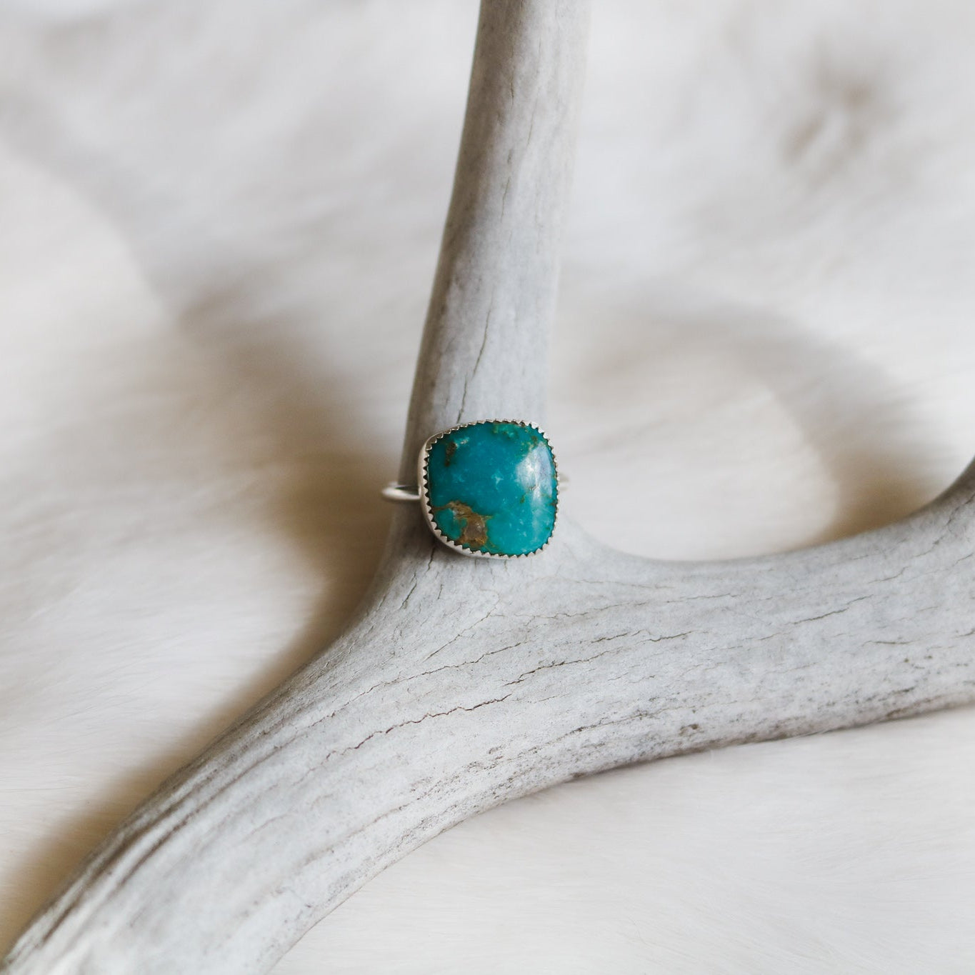 American Turquoise Ring - Size 11.5 // One of a Kind