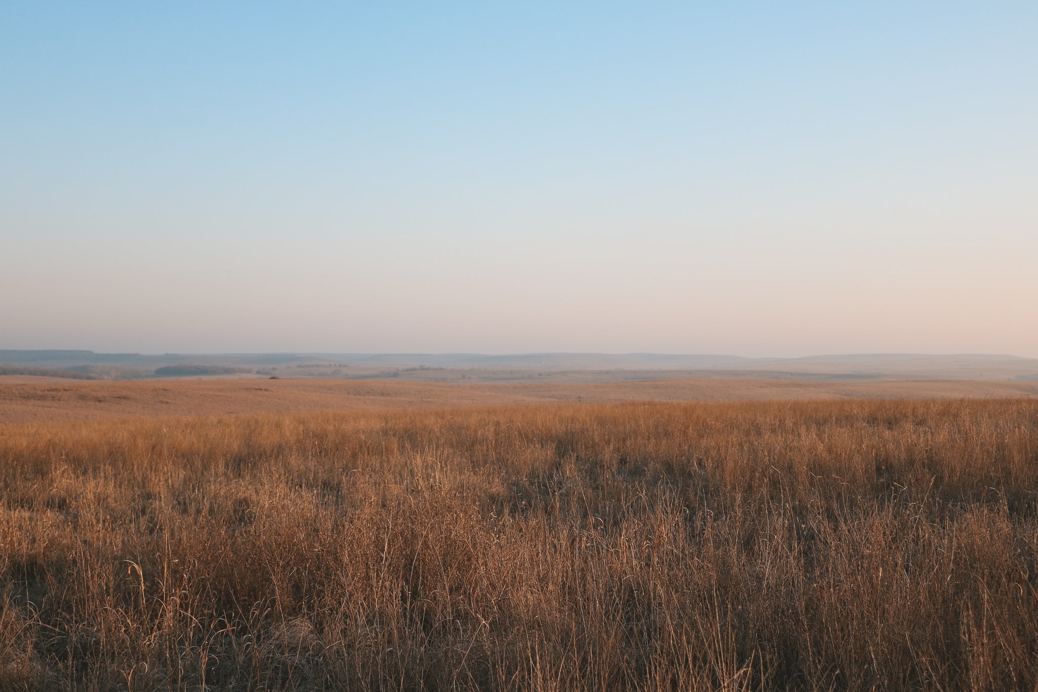 Tallgrass Prairie: A Bridal Lookbook