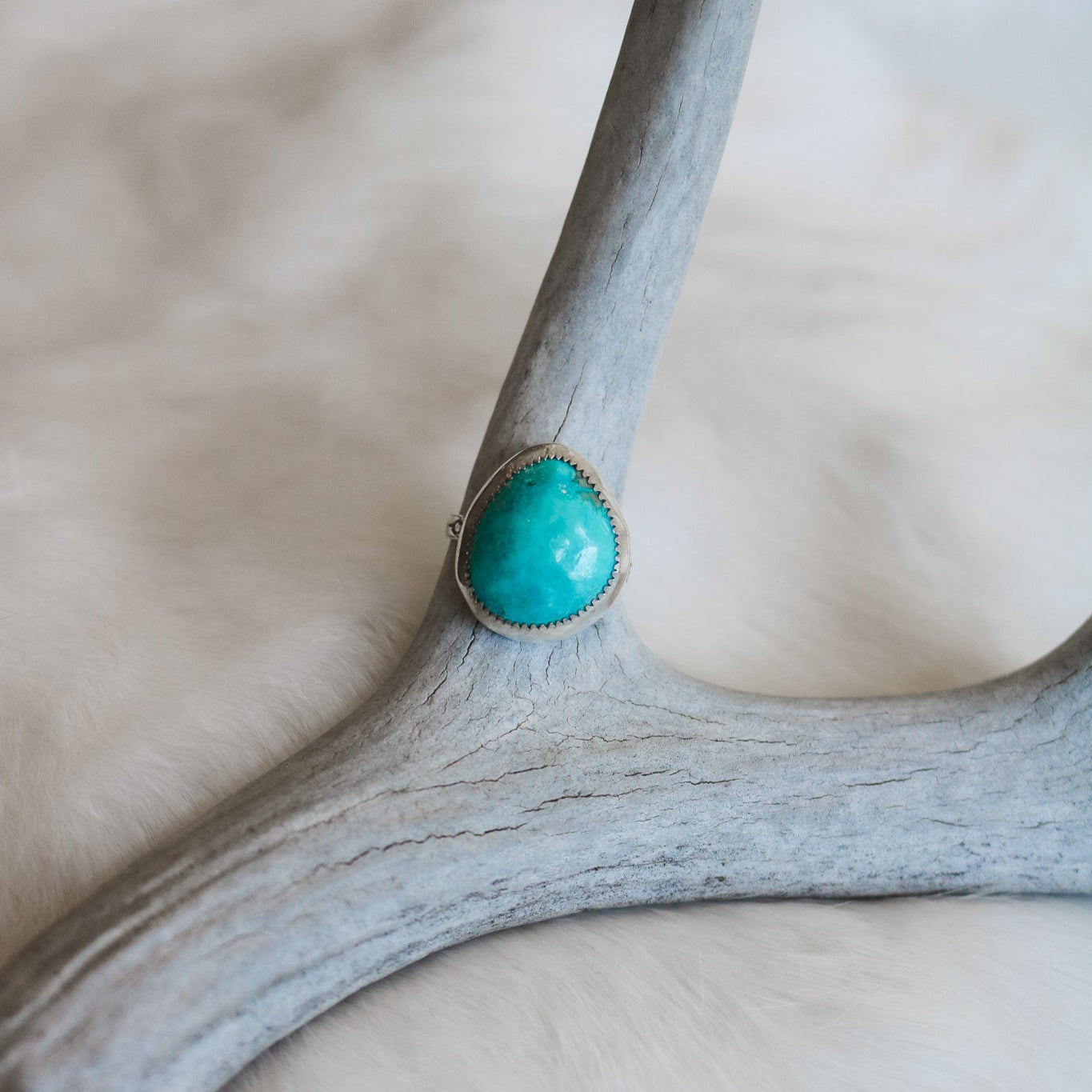 American Turquoise Ring - Size 8 // One of a Kind
