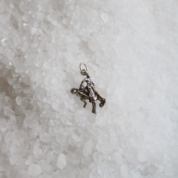 Buckin' Bronc Charm