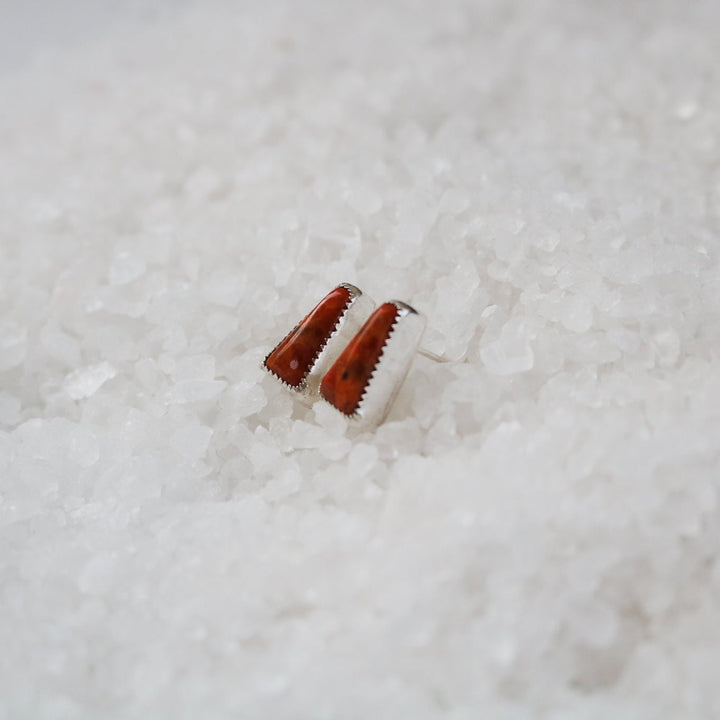 Apple Coral Stud Earrings // One of a Kind