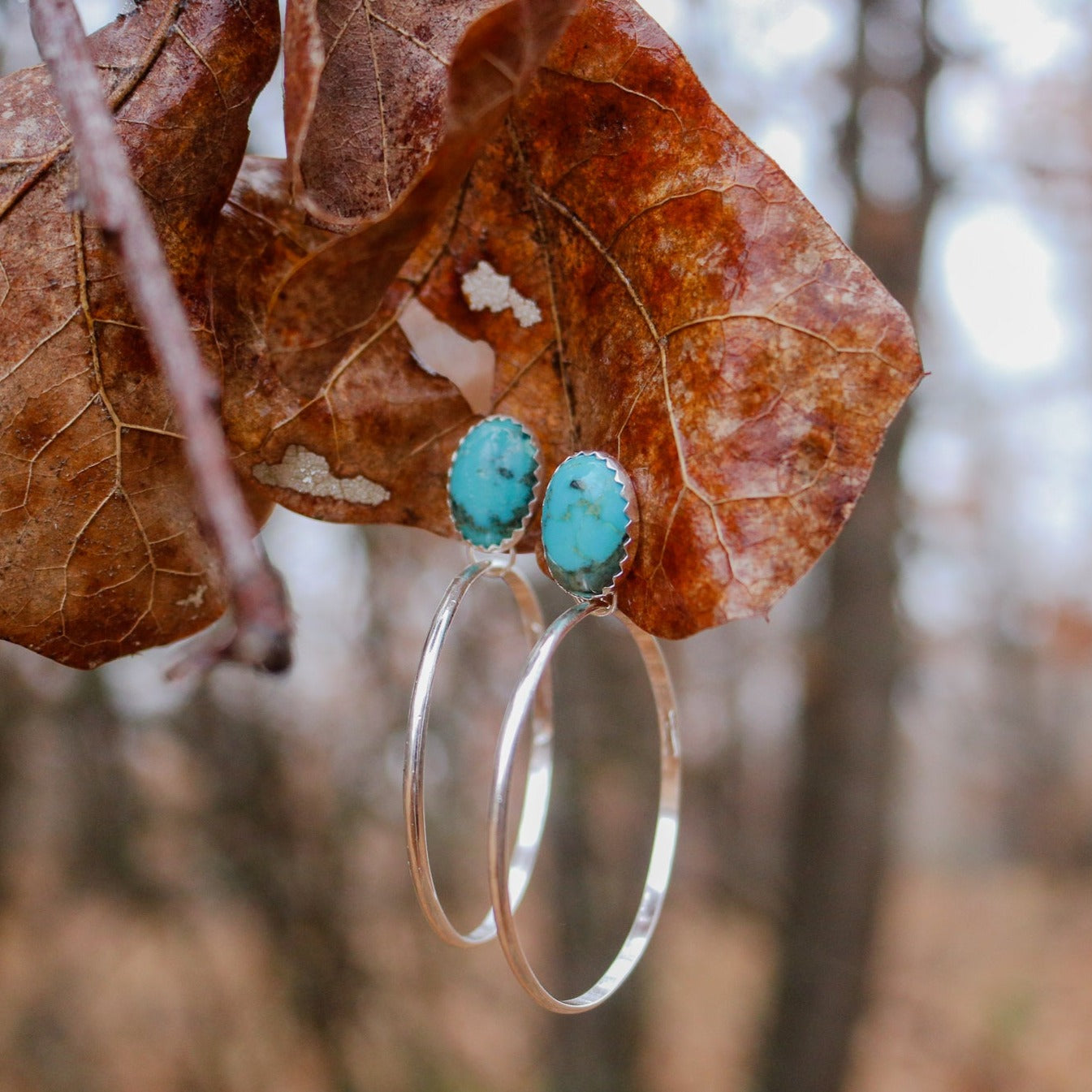 Cedar Canyon Hoop Earrings