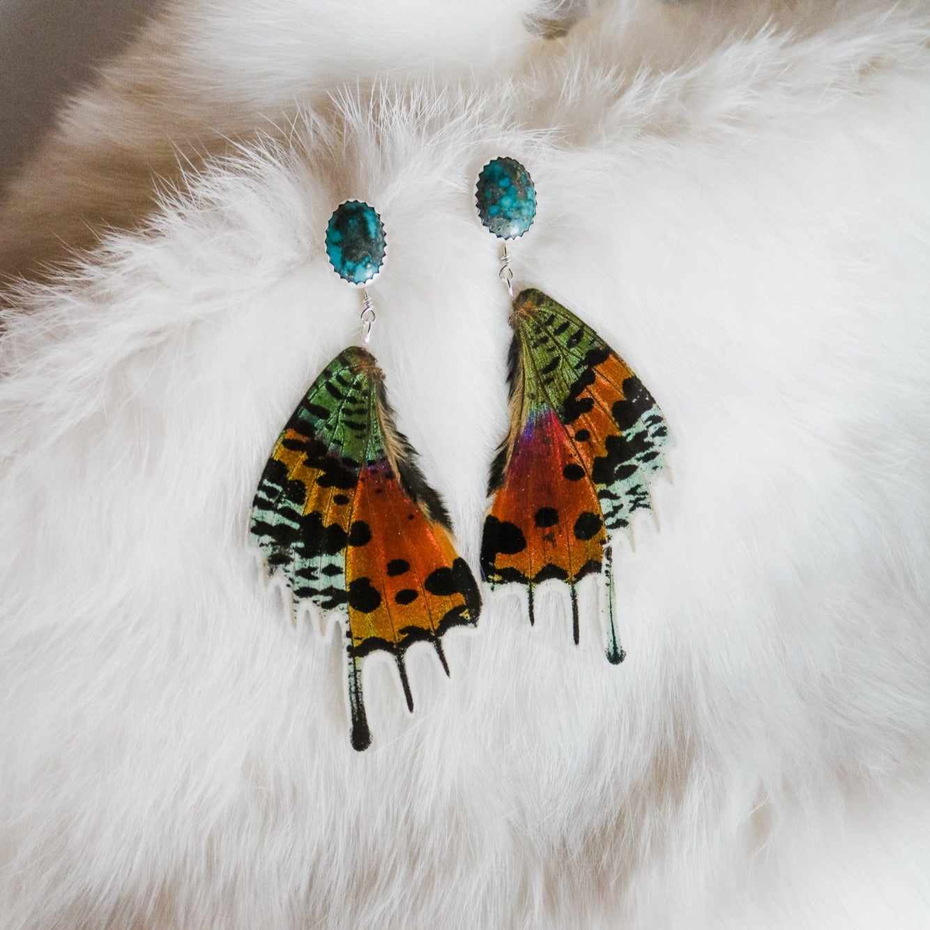 Butterfly wing earrings - wholesale