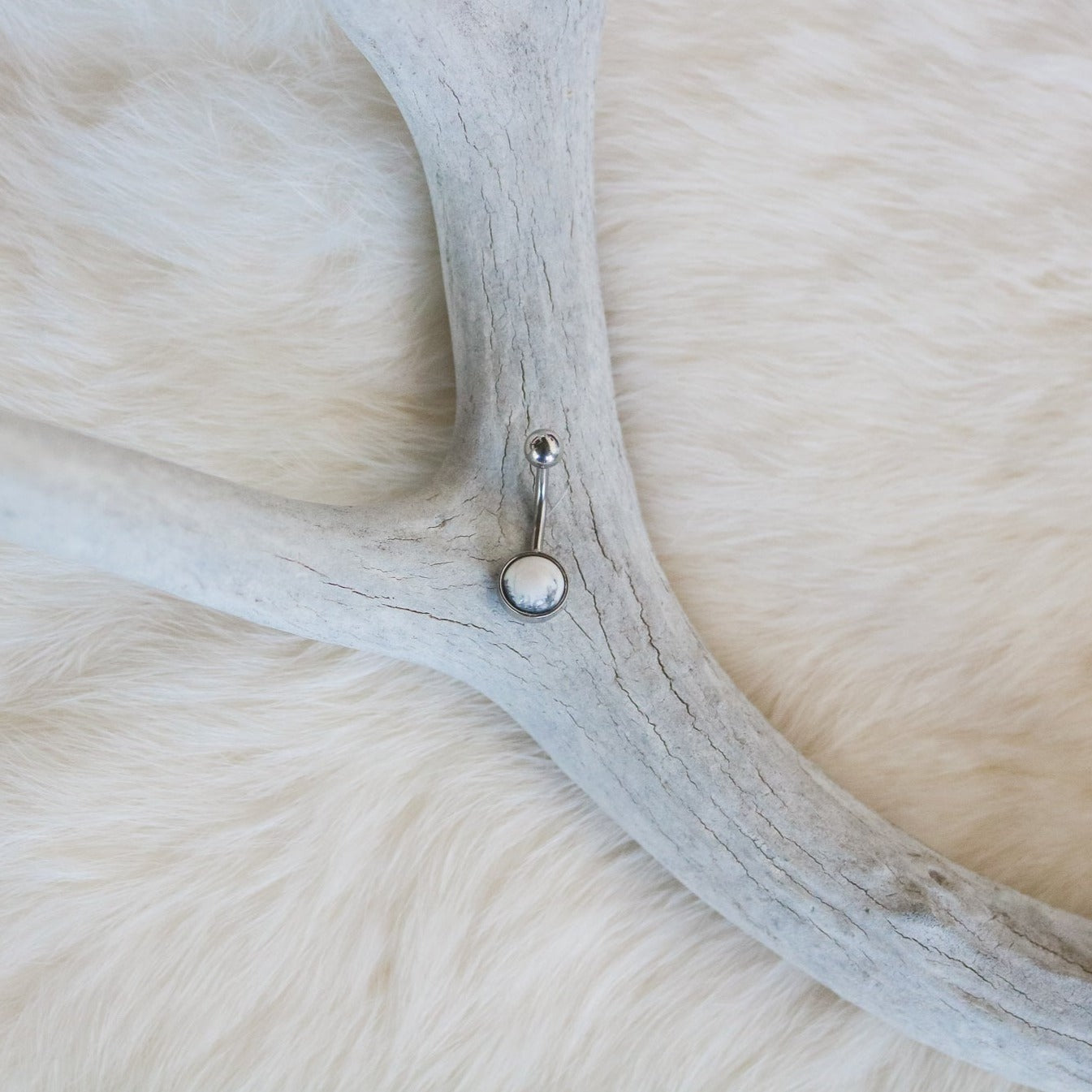 'White Buffalo' Belly Ring